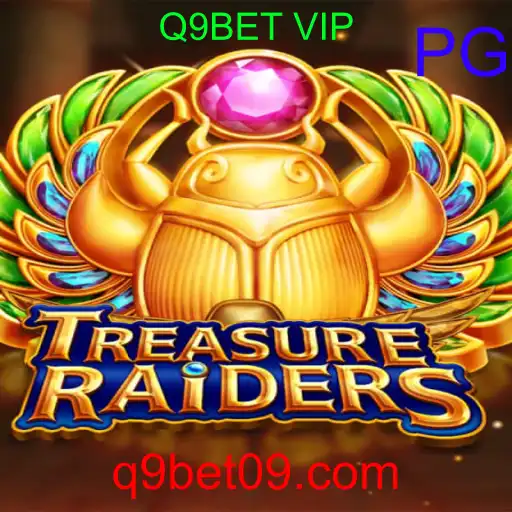 TREASURERAIDERS